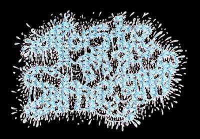 logo Taste My Smegma logo Taste My Smegma